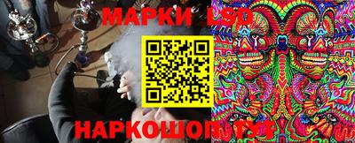прущие грибы Ирбит